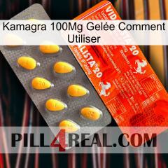 Kamagra 100Mg Gelée Comment Utiliser new01